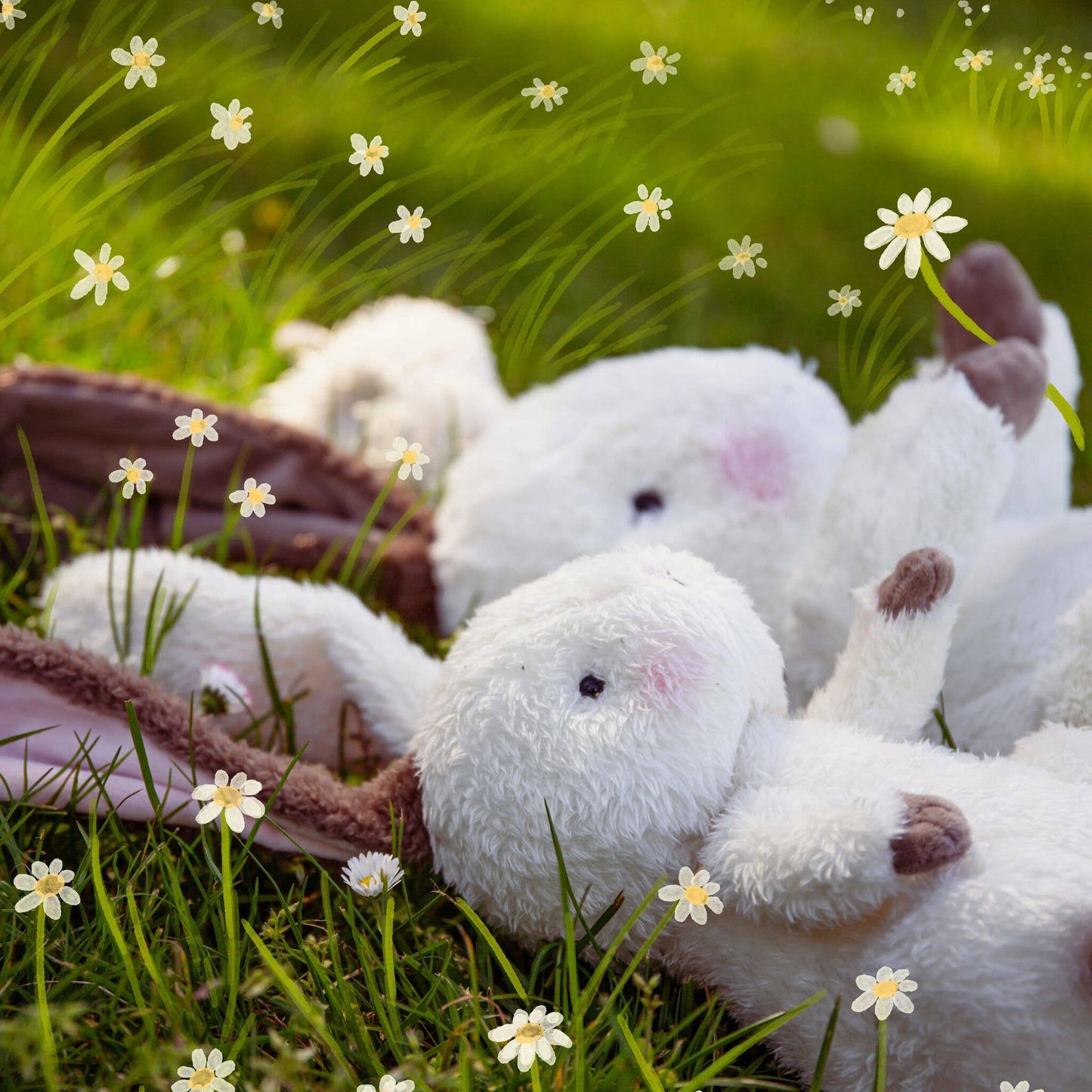 Herby Hare Bunny
