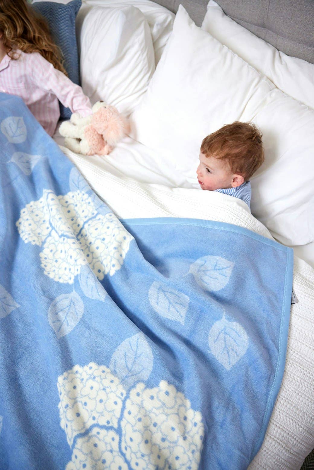 Hydrangeas Bluebell Blanket: Original