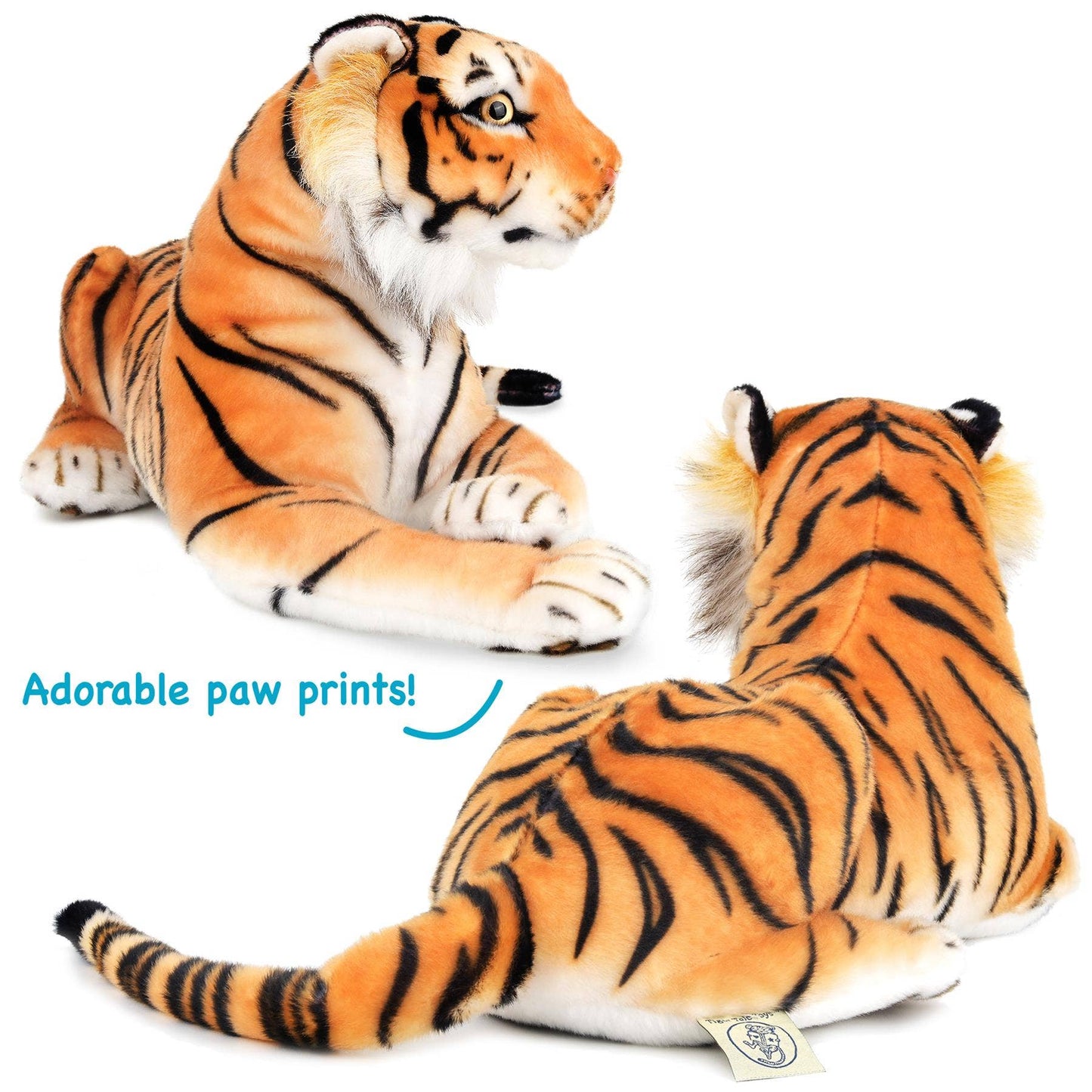 Arrow The Tiger