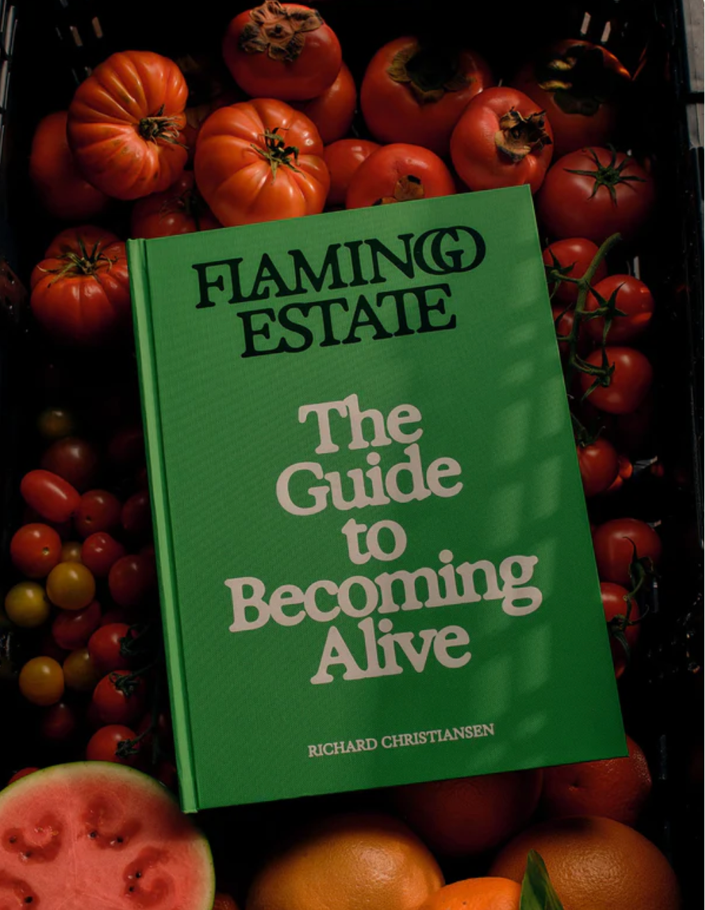 Flamingo Estate Guide to Becoming Alive