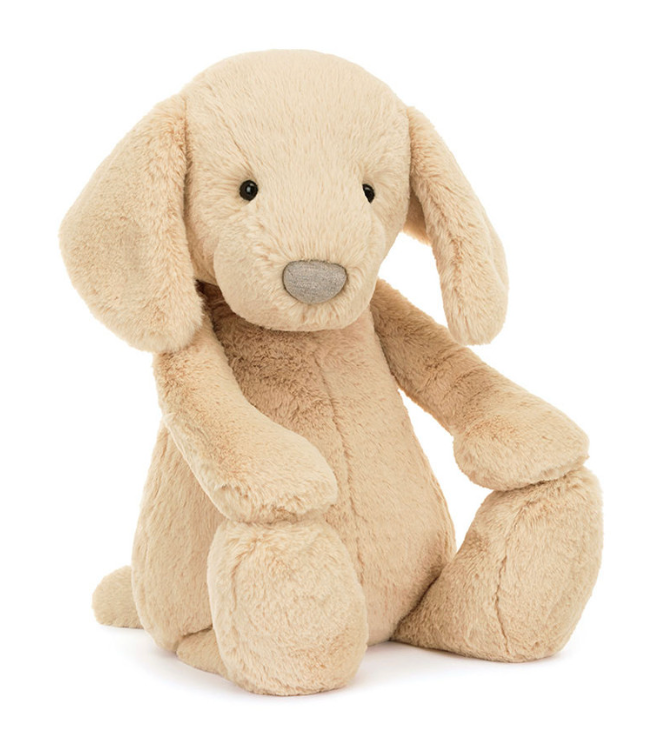 Bashful Luxe Puppy Orlando-Big