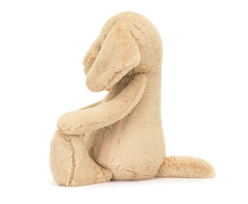 Bashful Luxe Puppy Orlando-Big