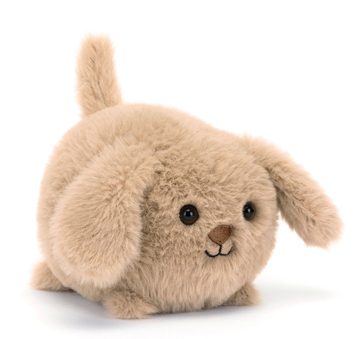 Caboodle Puppy