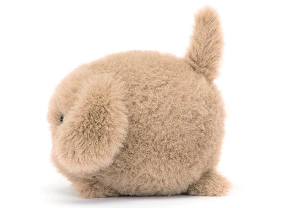 Caboodle Puppy