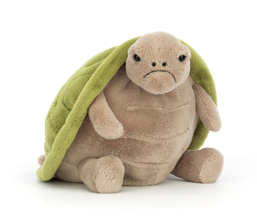 Timmy Turtle- Medium