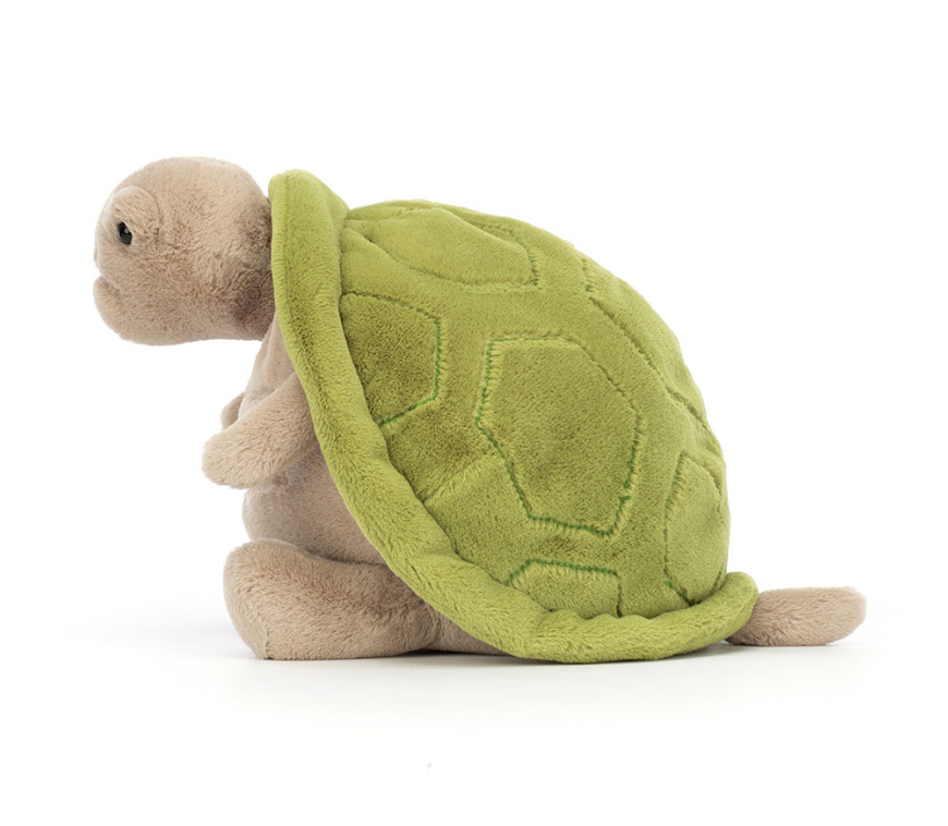Timmy Turtle- Medium