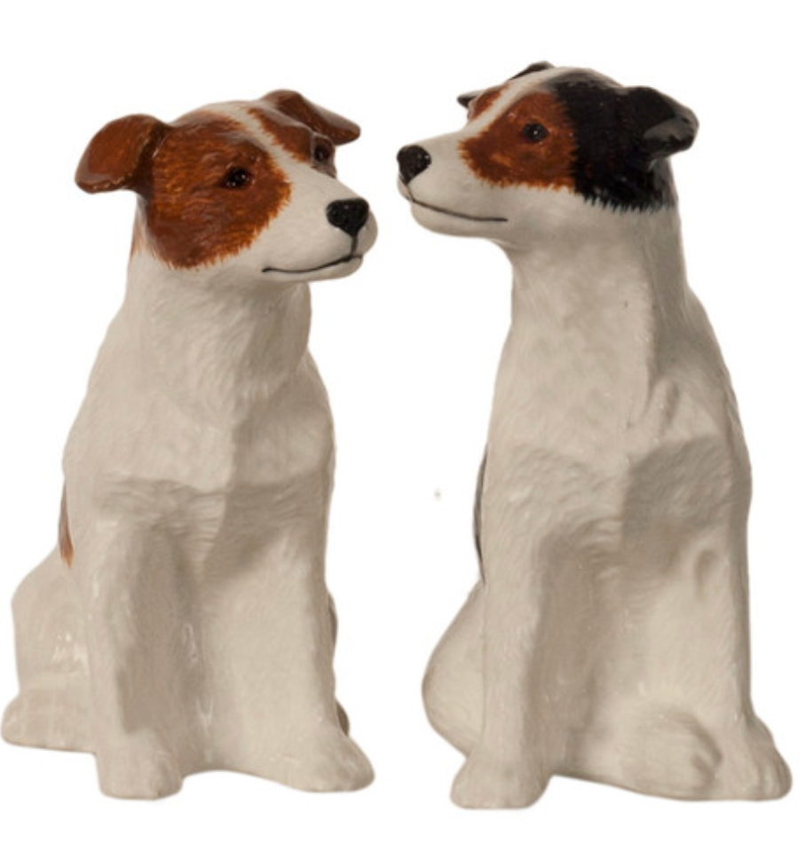 Jack Russell Salt and Pepper