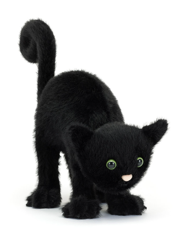 Spookipaws Cat