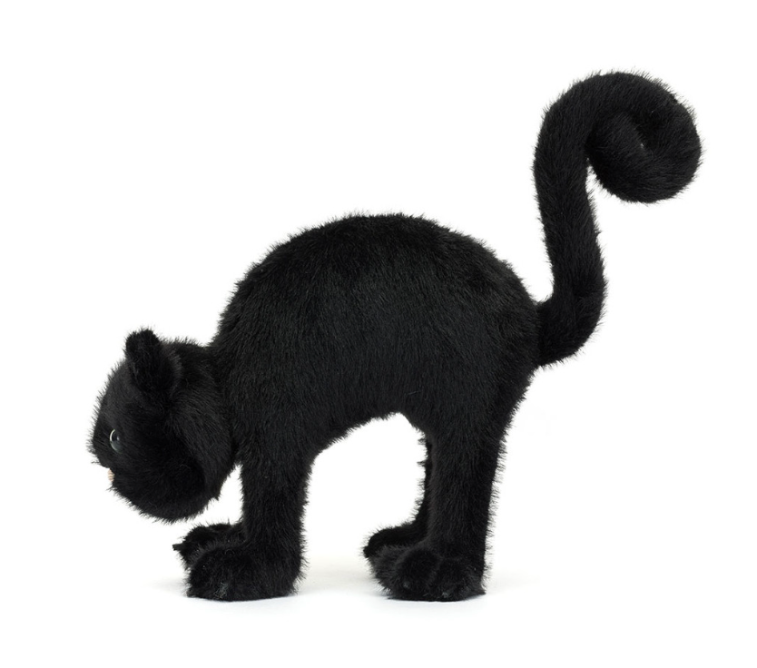Spookipaws Cat