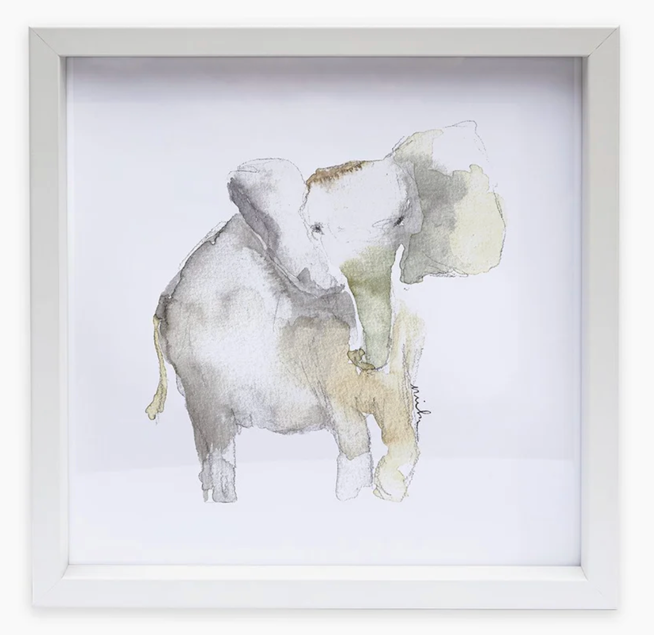 Elephant Framed Print