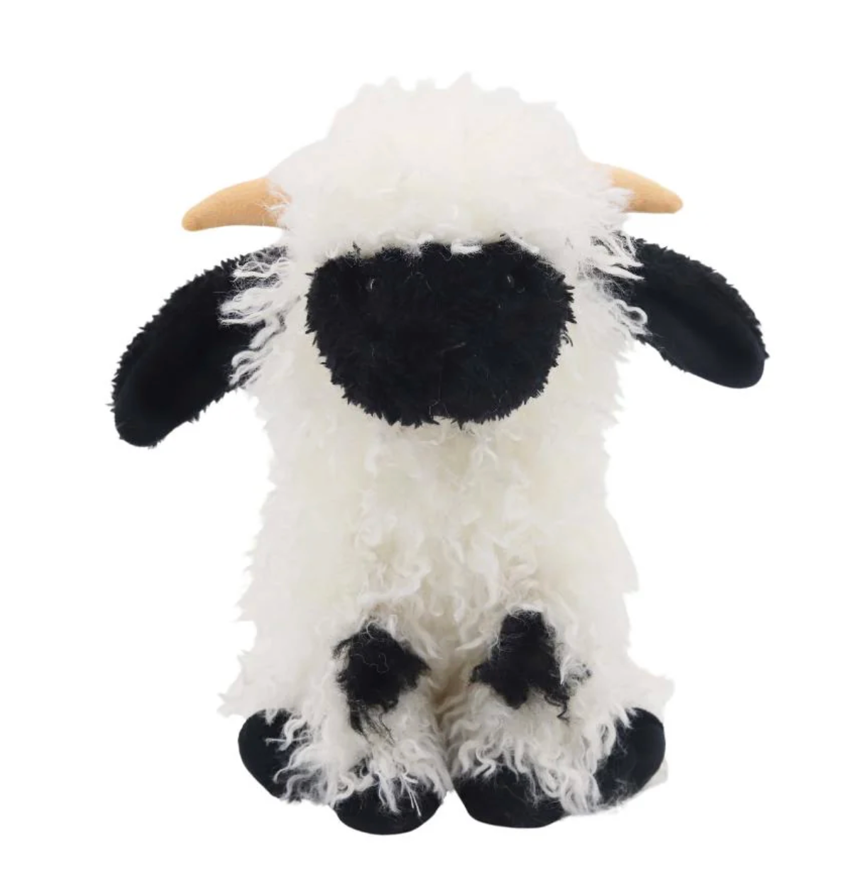 Medium Valais Sheep