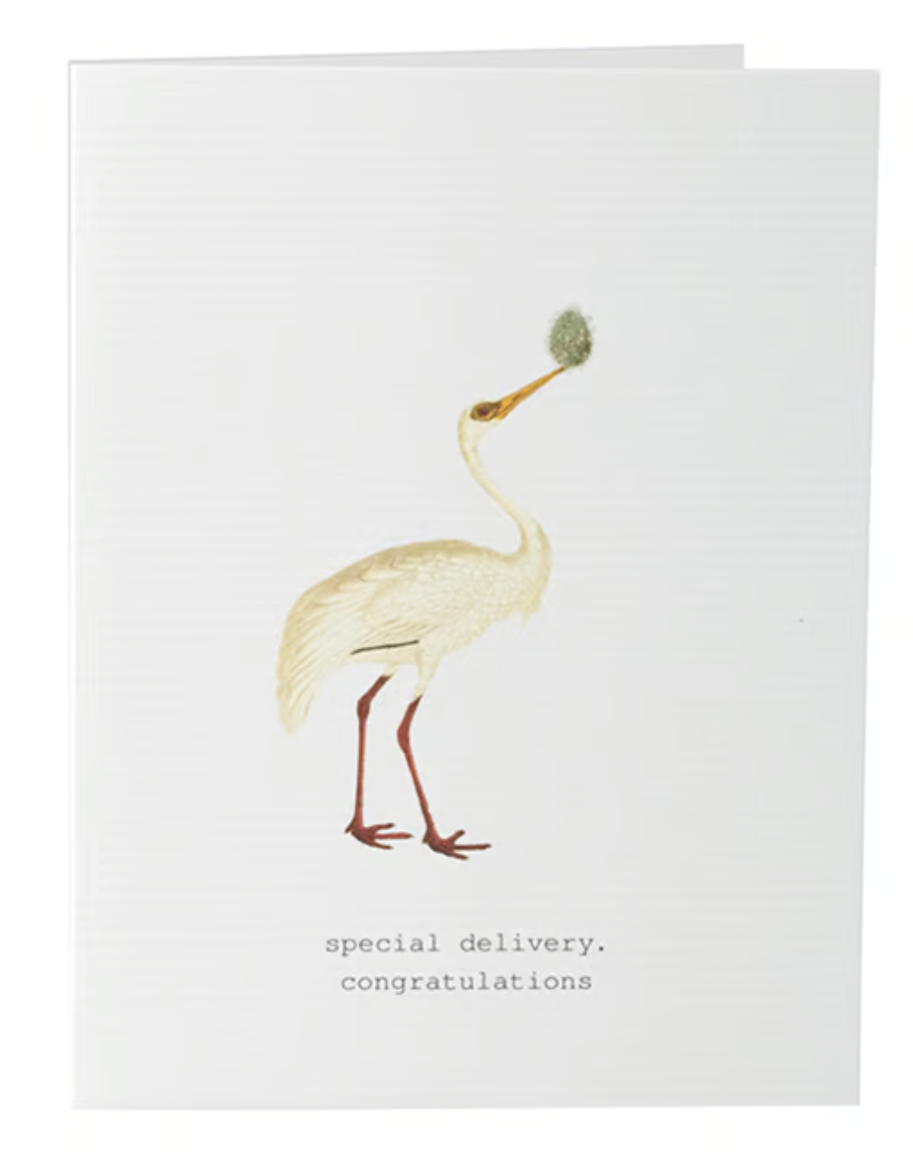 SPECIAL DELIVERY GREETING CARD