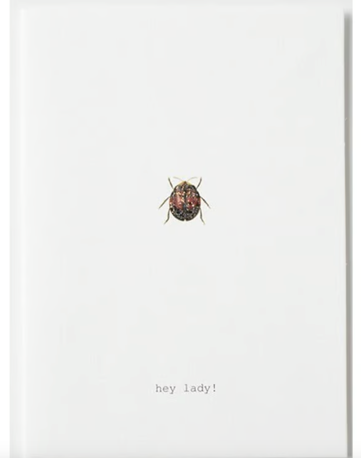 HEY LADY GREETING CARD
