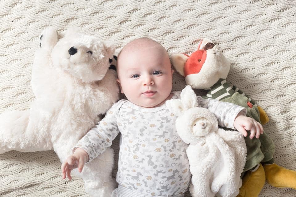 Antonio Baby Polar Bear