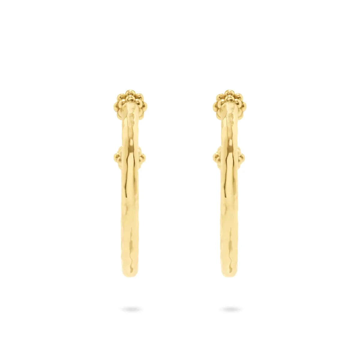 Berry Slice Medium Hoop Earrings - Gold