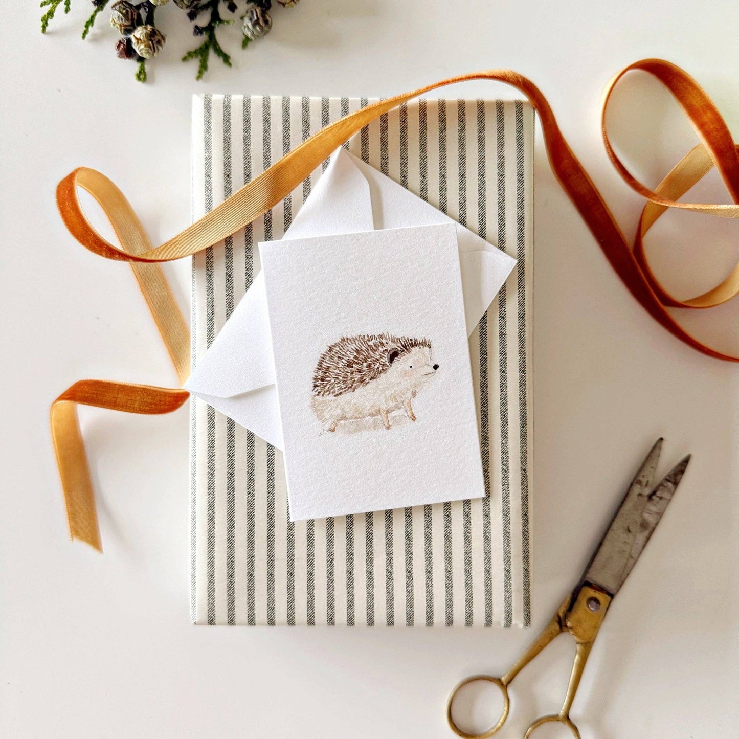 Hedgehog mini notecard