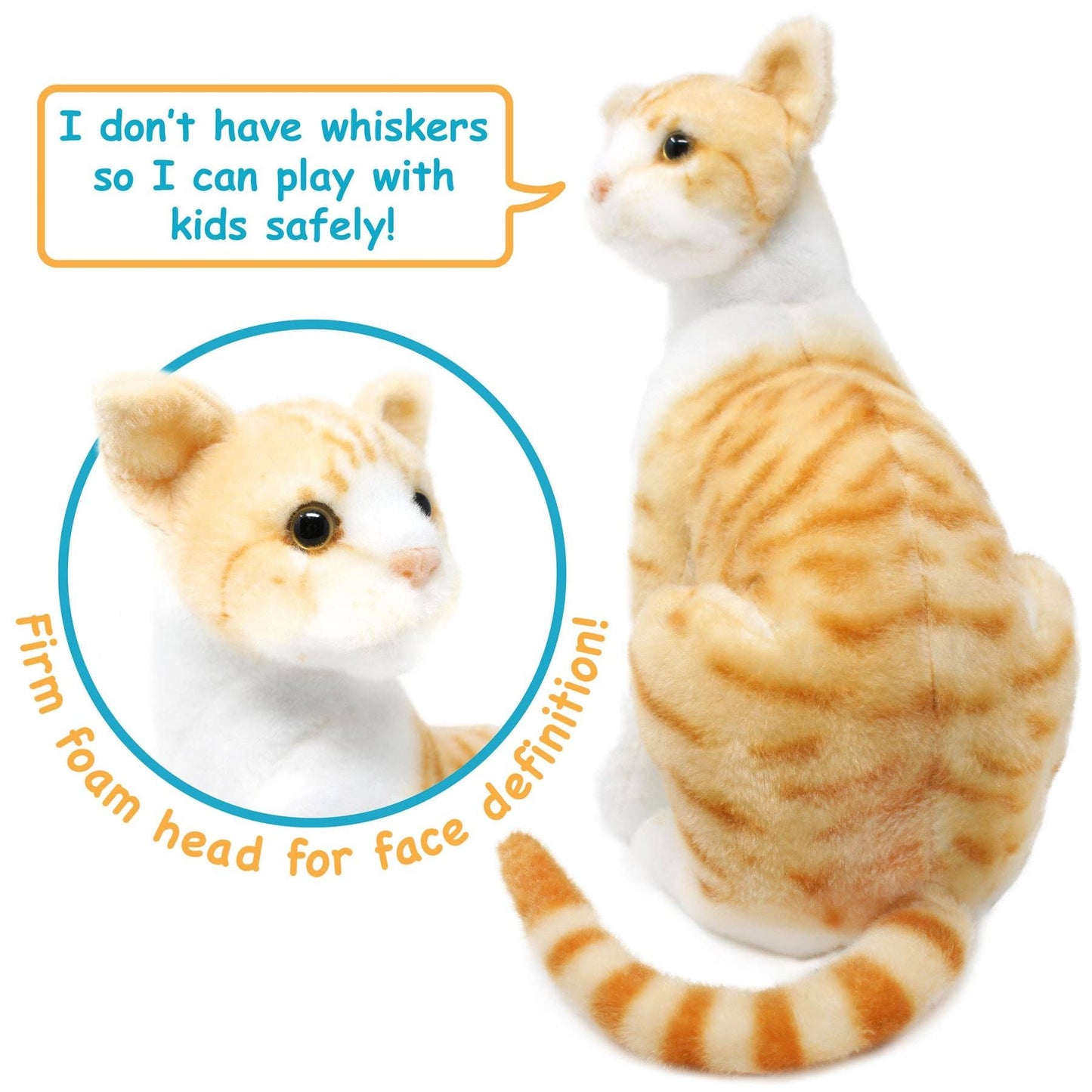 Tobias The Orange Tabby Cat