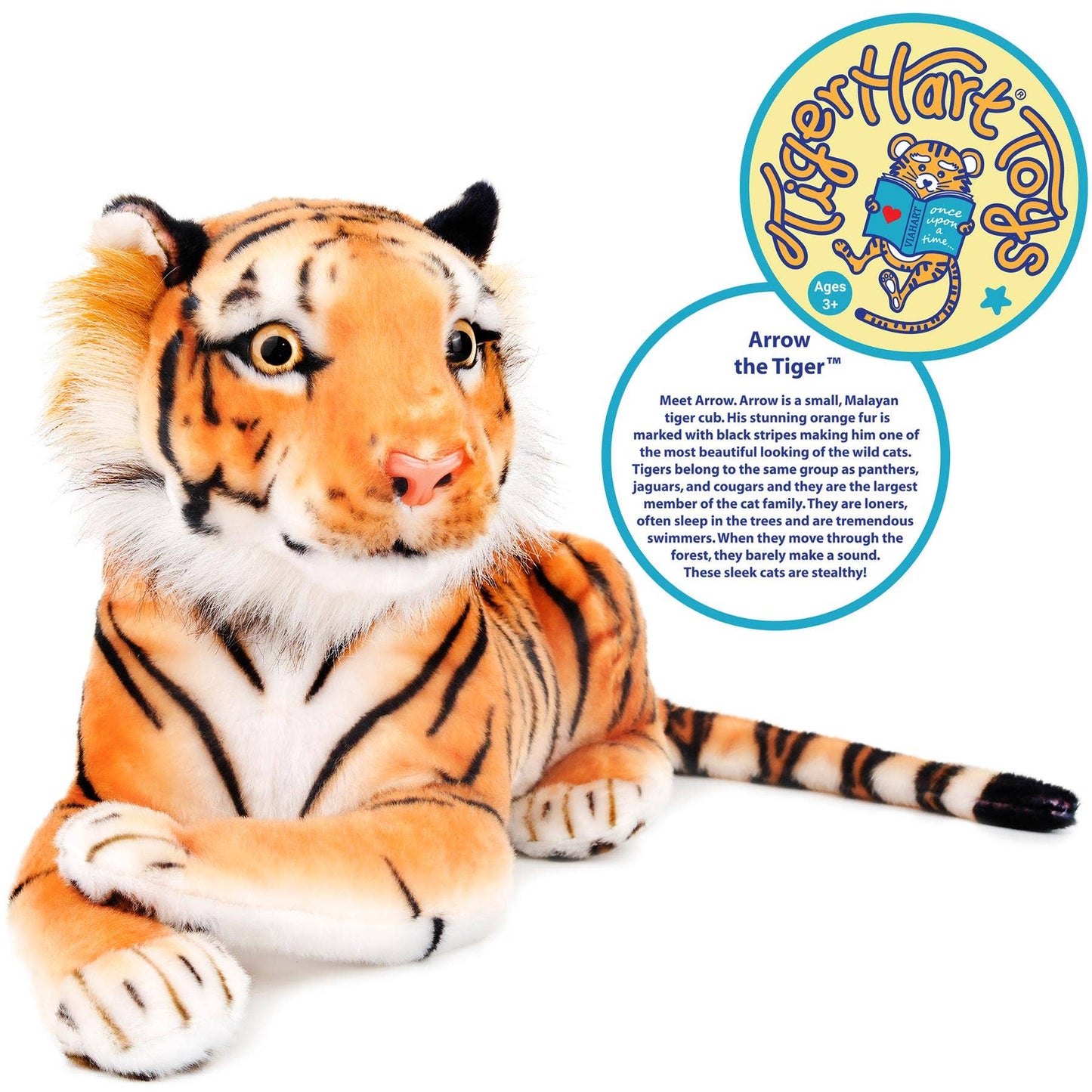 Arrow The Tiger
