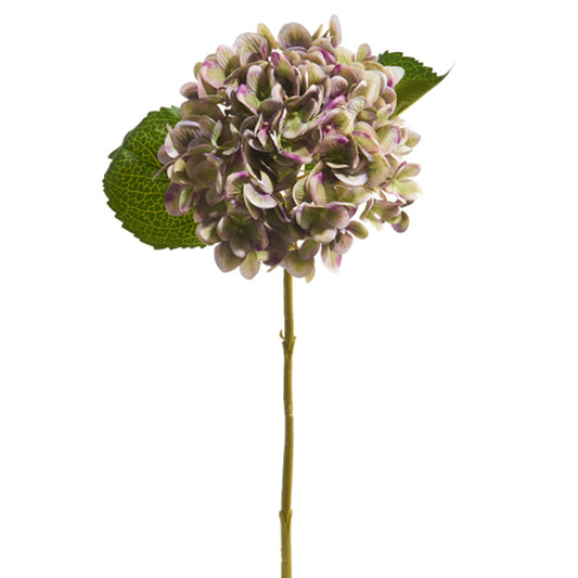14" Hydrangea Stem-Multi