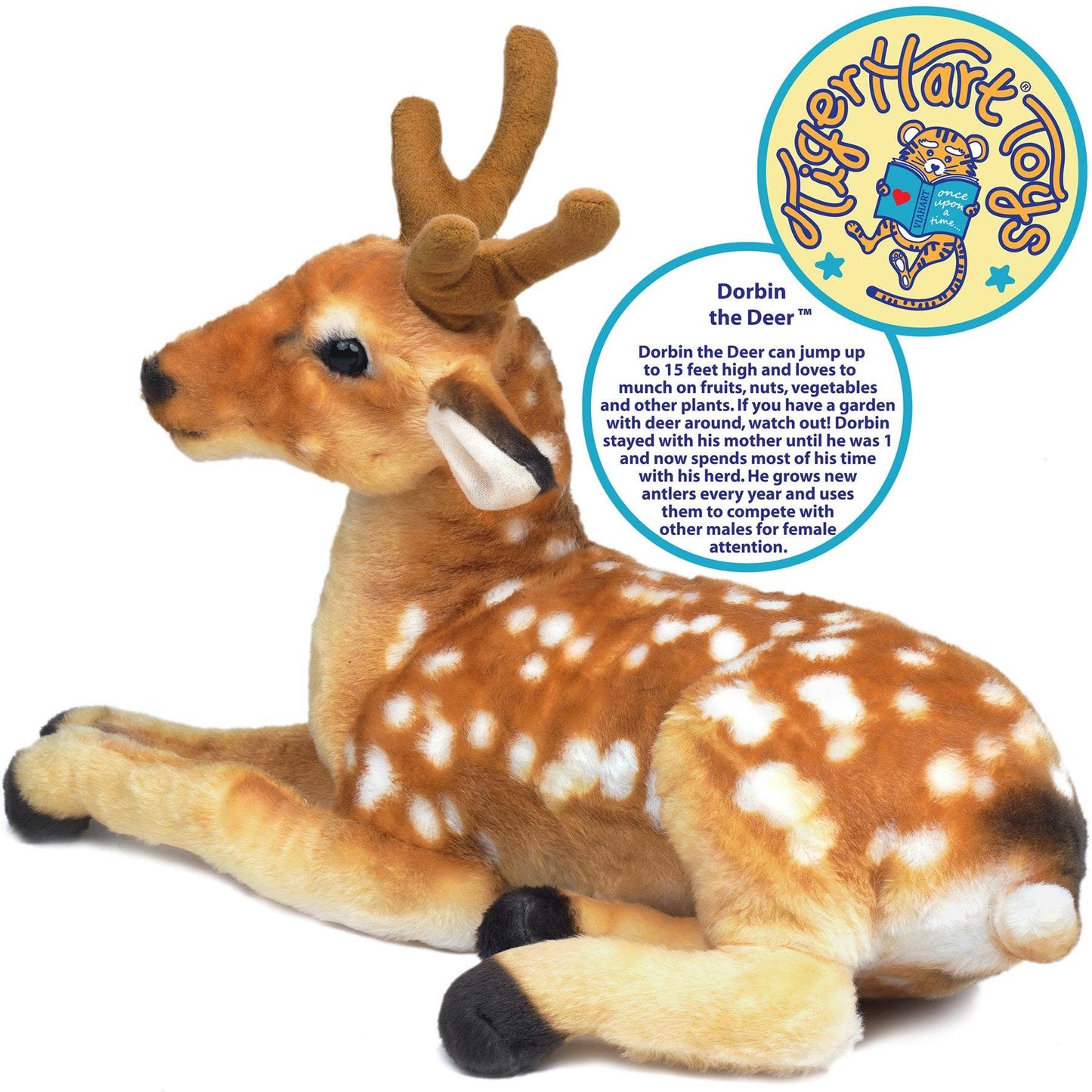 Dorbin The Deer