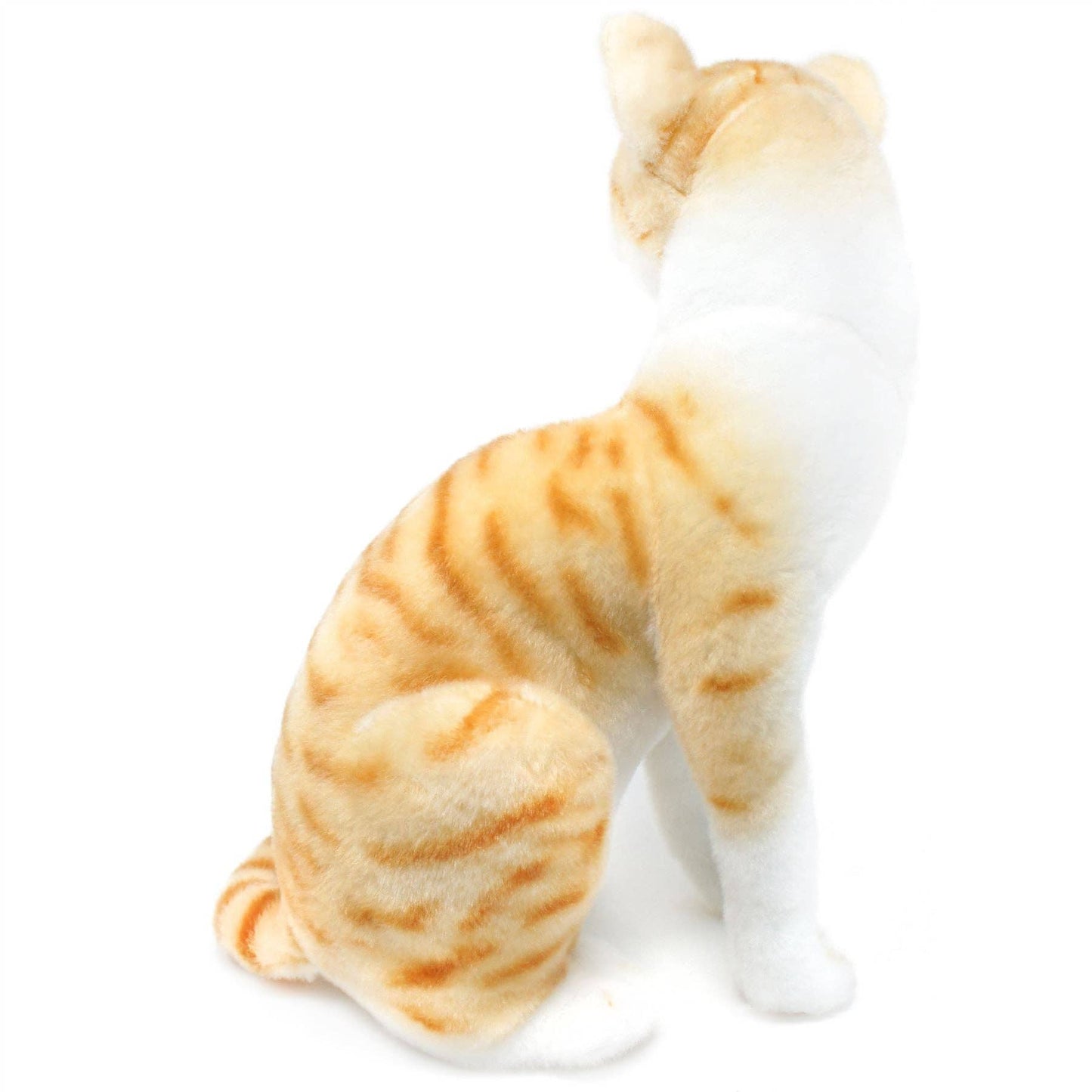 Tobias The Orange Tabby Cat