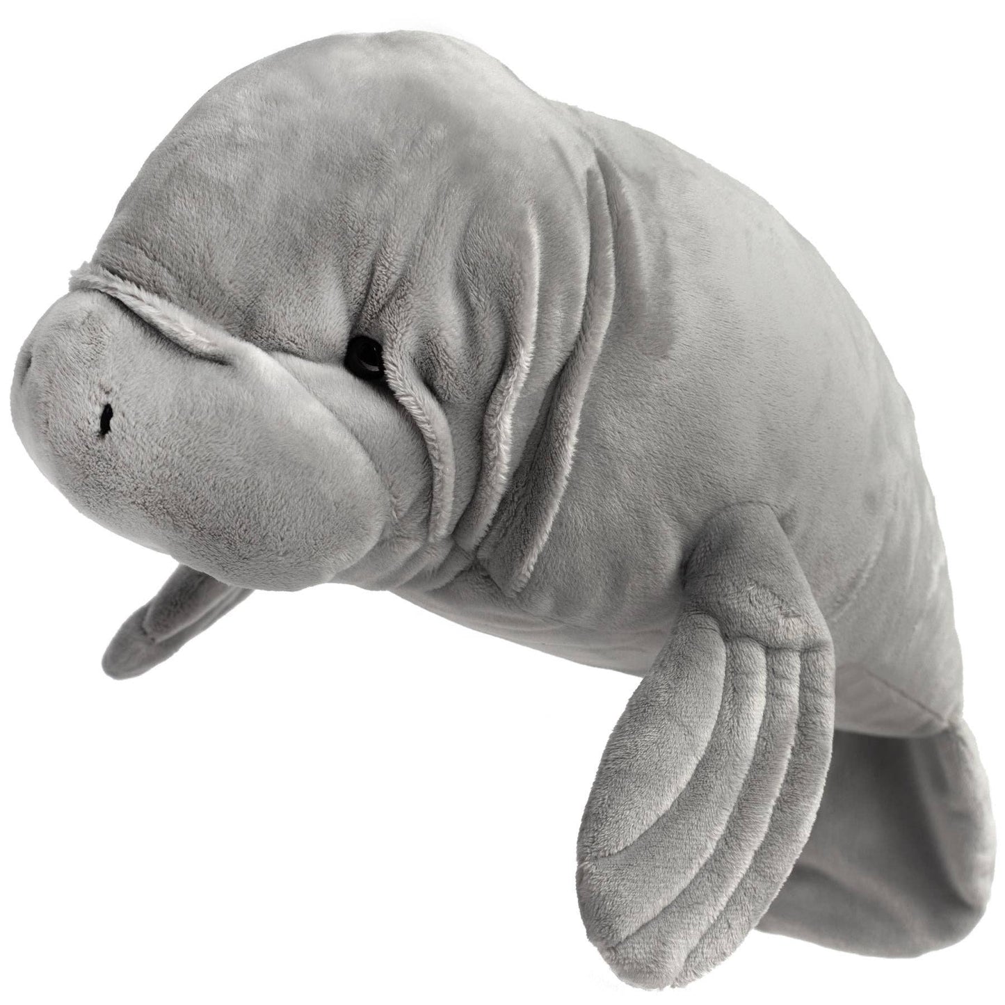 Morgan The Manatee