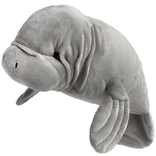 Morgan The Manatee
