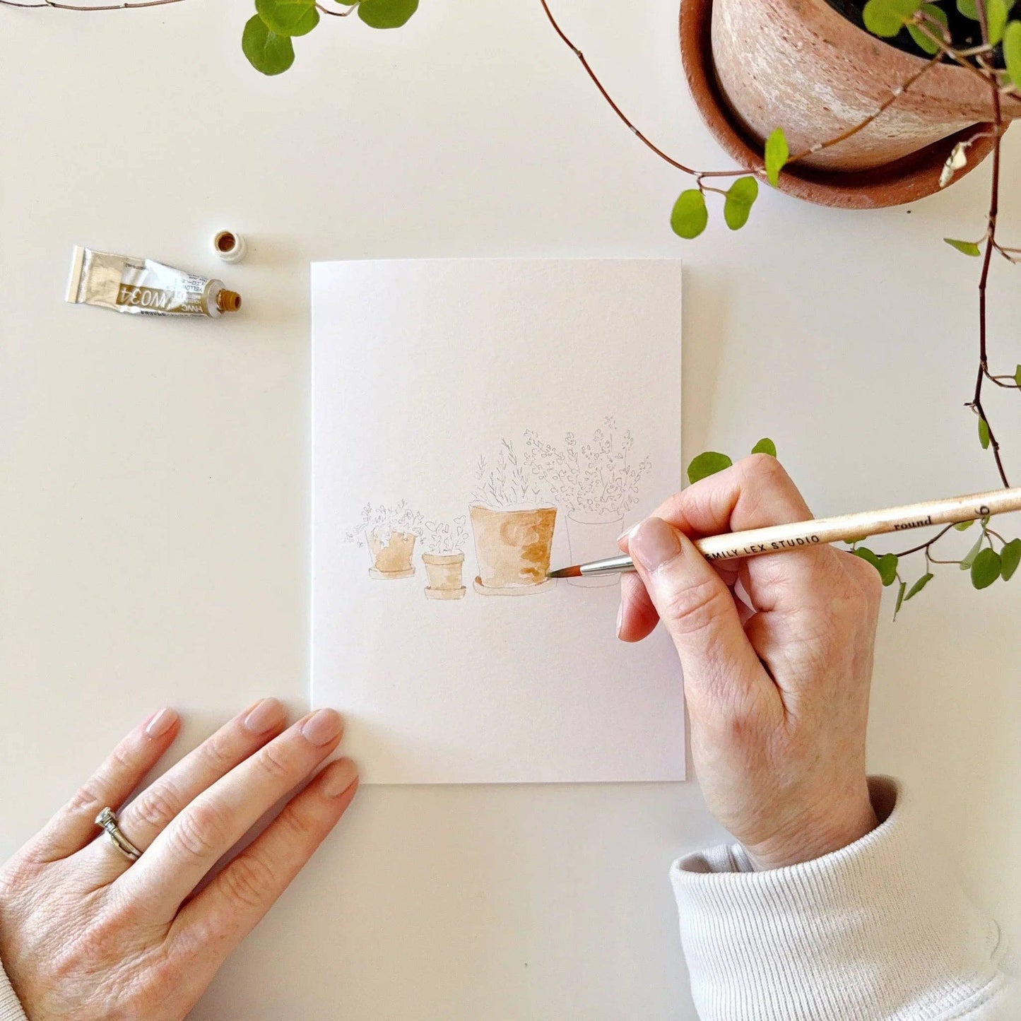 Potted plants paintable watercolor notecard set