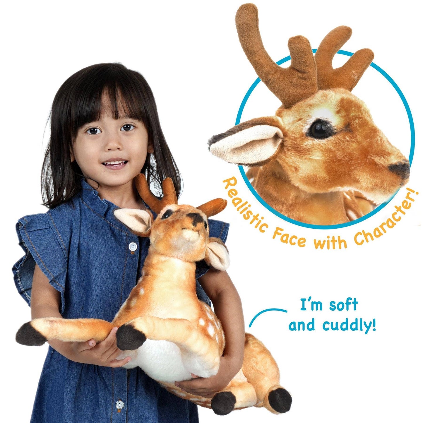 Dorbin The Deer