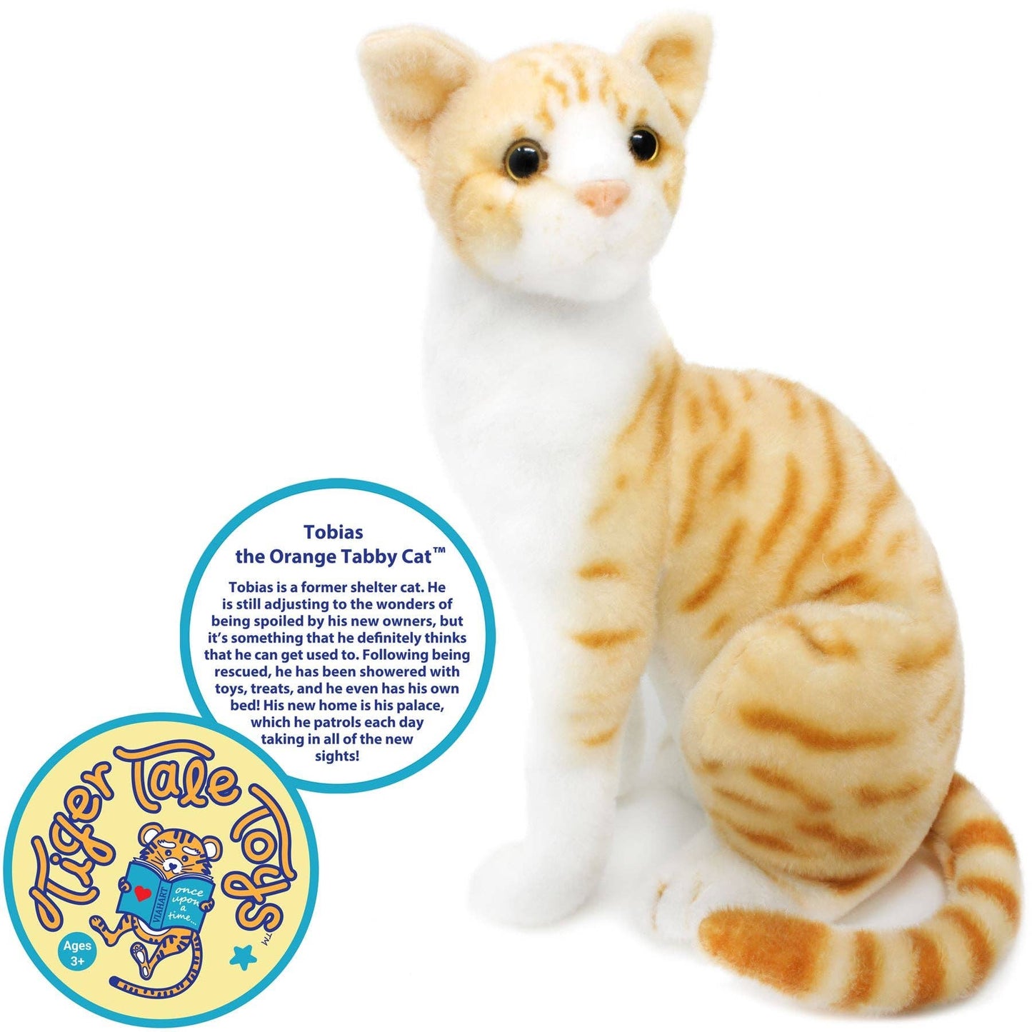Tobias The Orange Tabby Cat