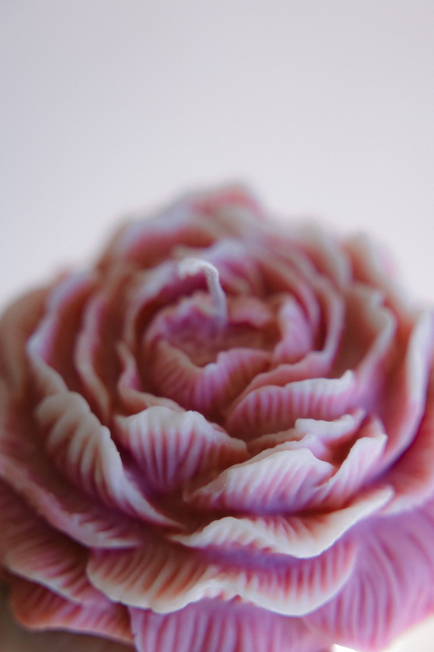 Large Peony Candle