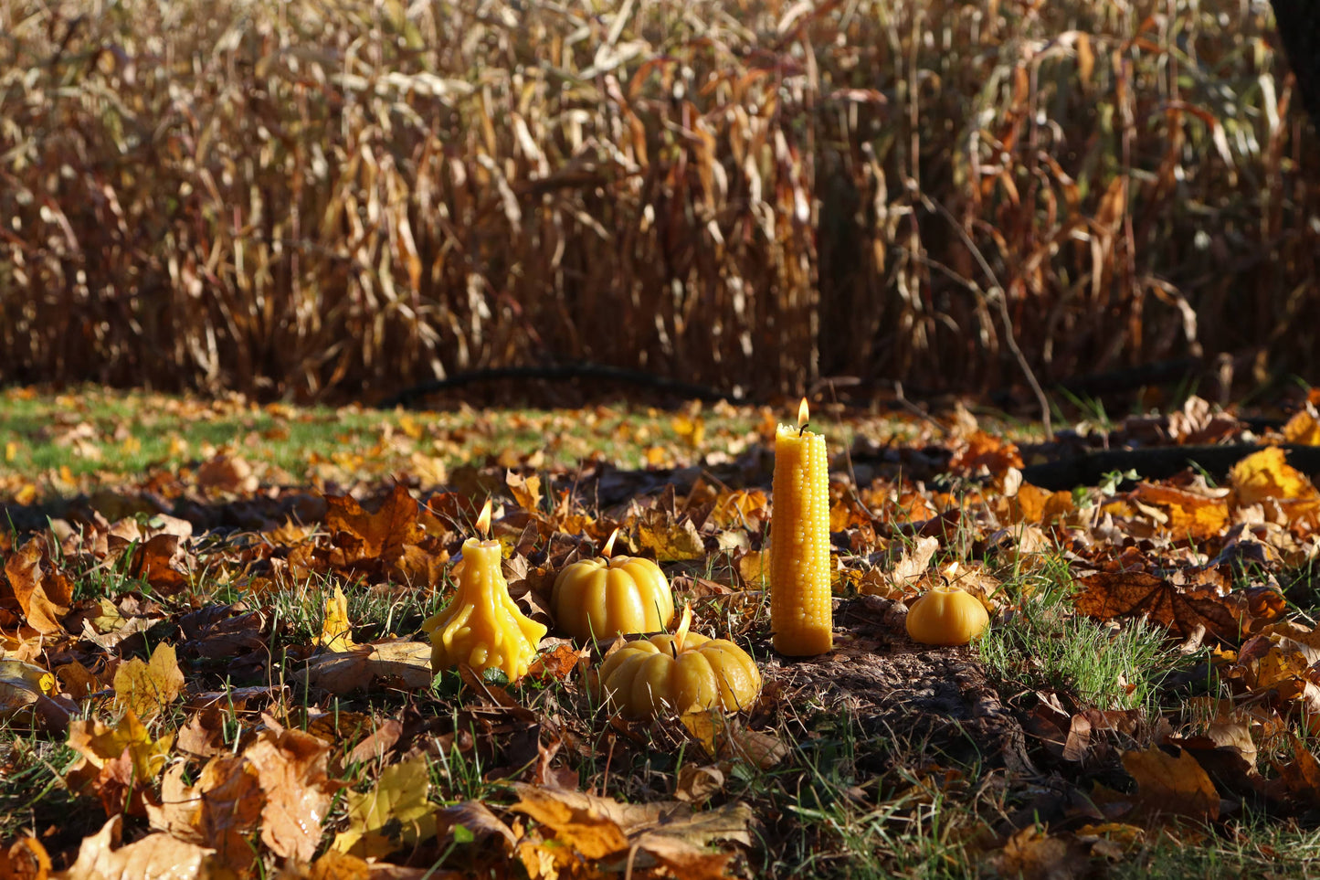 Pumpkin Beeswax Candle