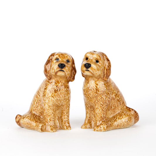 Cockapoo Salt and Pepper-Apricot