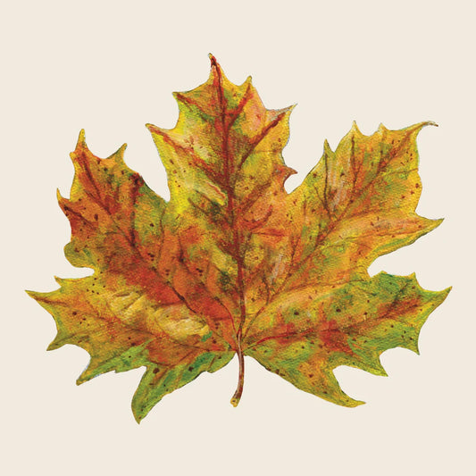 Fall Foliage Napkins