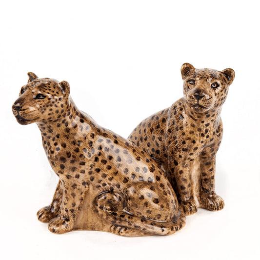 Leopard Salt and Pepper