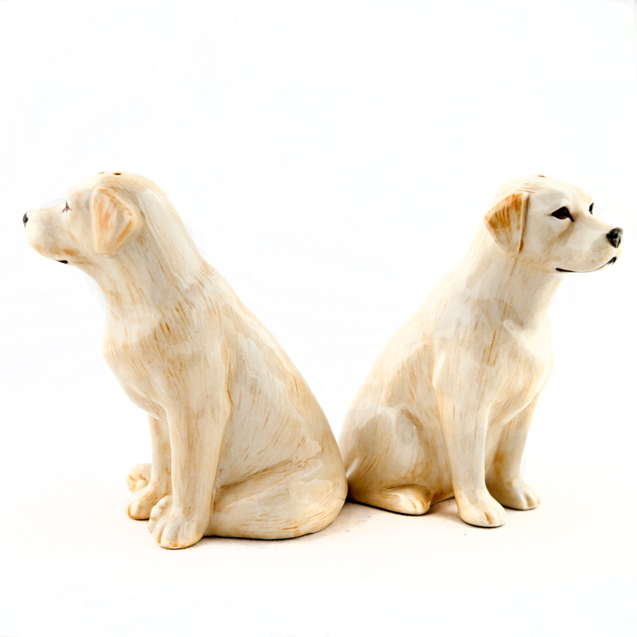 Golden Labrador Salt and Pepper