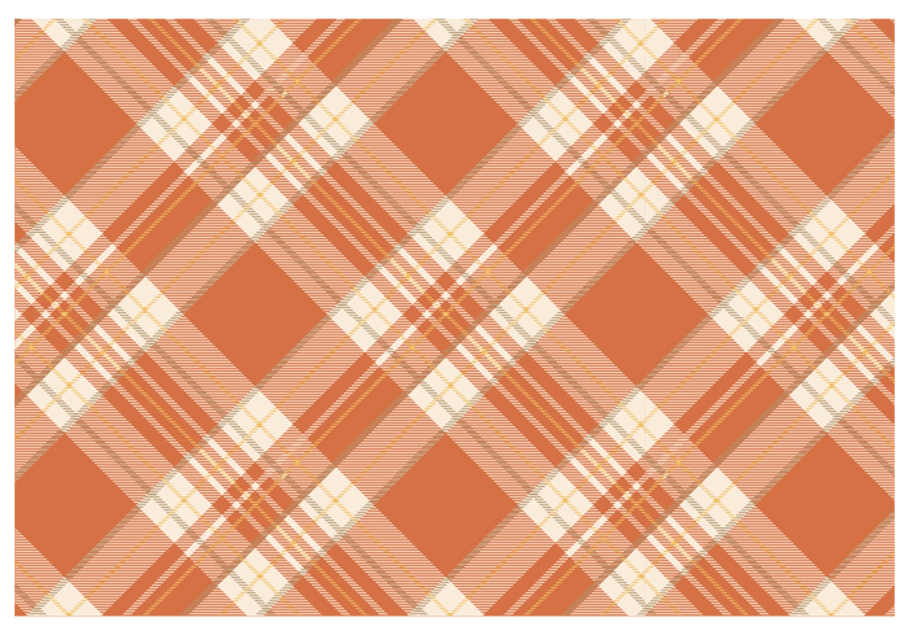 Orange Plaid Placemat