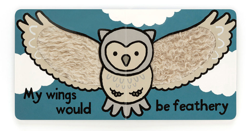 If I were an Owl Book