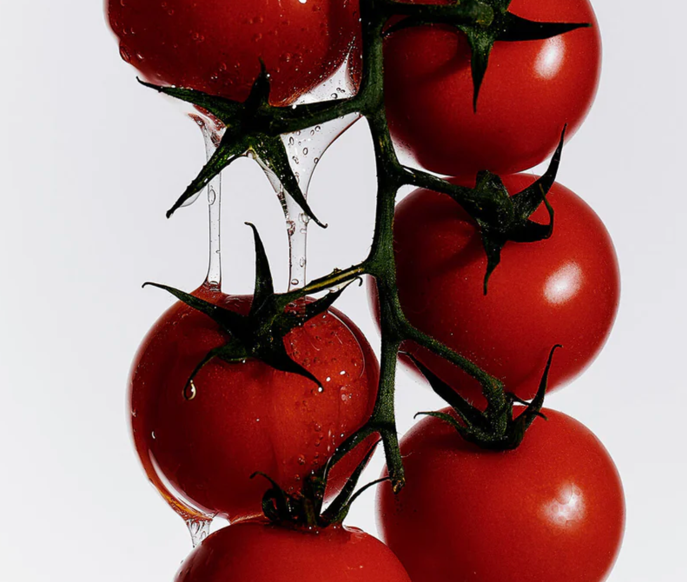 Roma Heirloom Tomato Hand Soap