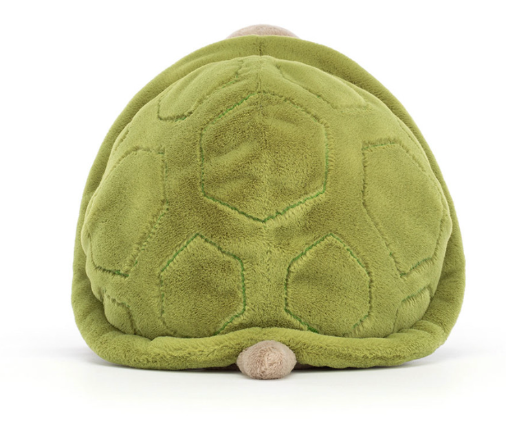 Timmy Turtle- Medium