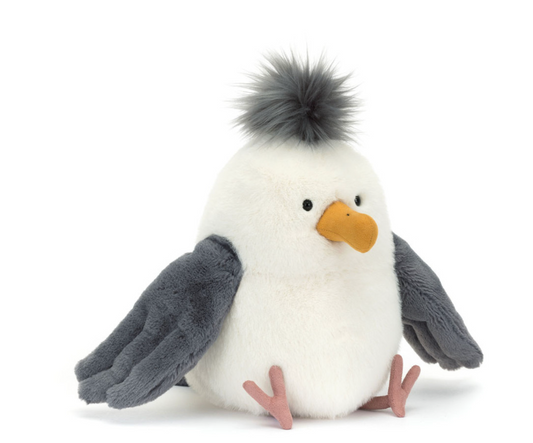 Chip Seagull