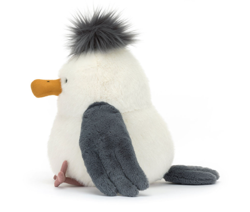 Chip Seagull
