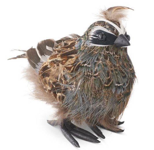 5 Inch Feathered Quail