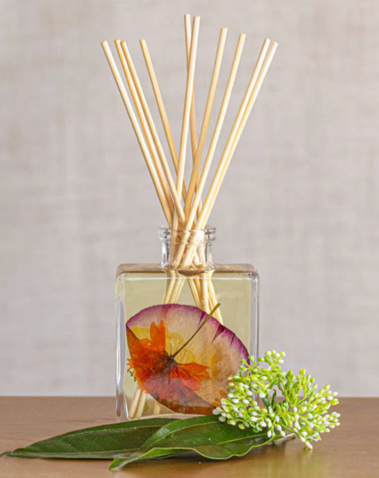 Accent Botanical Reed Diffuser - Sugared Citrus