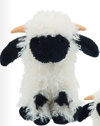 Small Valais Sheep