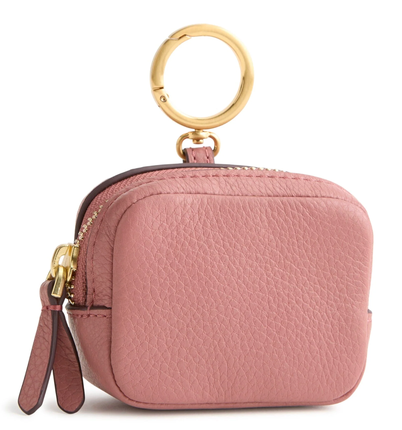 Zip Earbud Bag Charm : Withered Rose