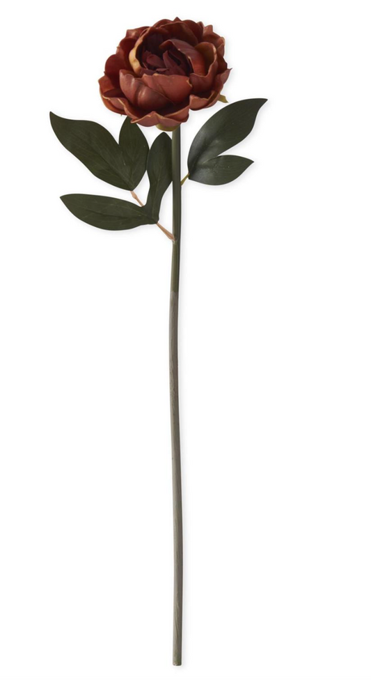 20 Inch Real Touch Burgundy w/Yellow Peony Stem