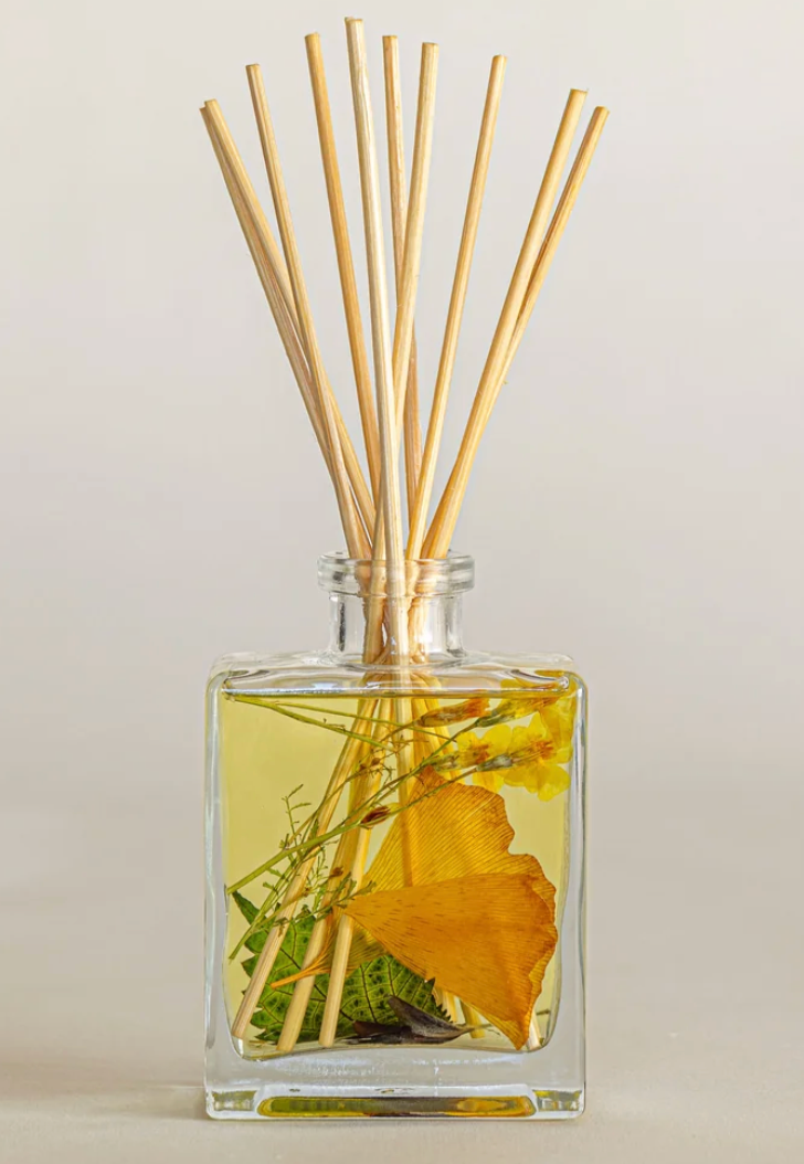 Accent Botanical Reed Diffuser -Harvest Pumpkin