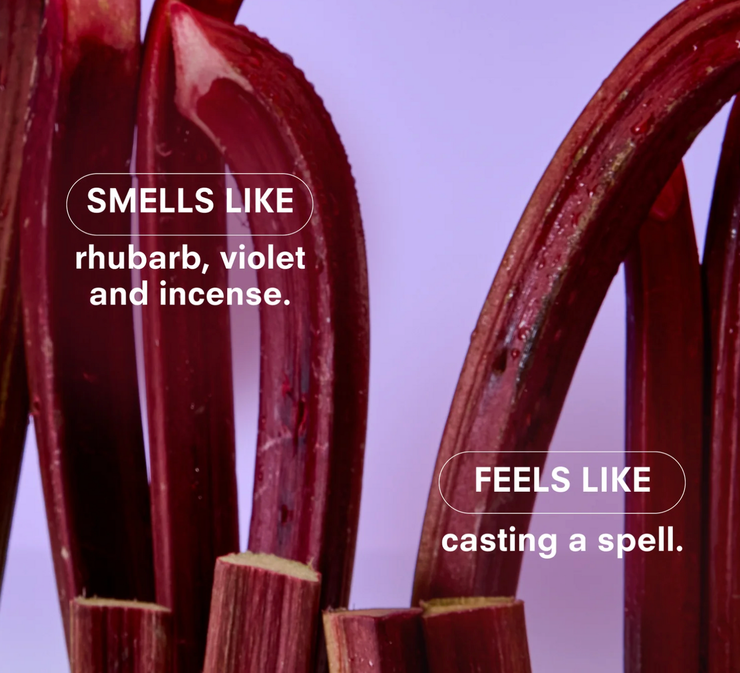 VIOLET ENDS REED DIFFUSER