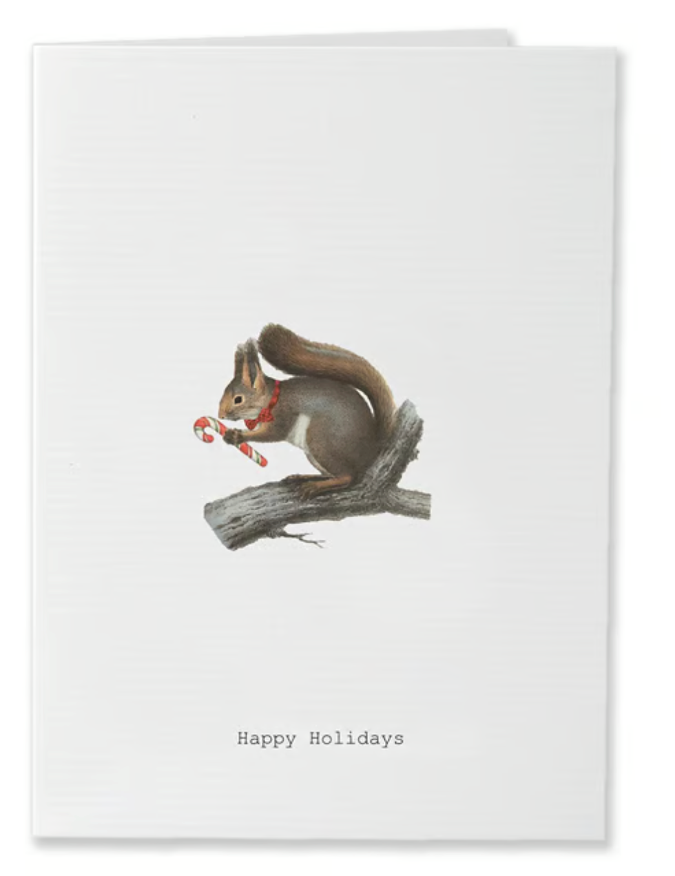 HAPPY HOLIDAYS SQUIRREL GREETING CARD